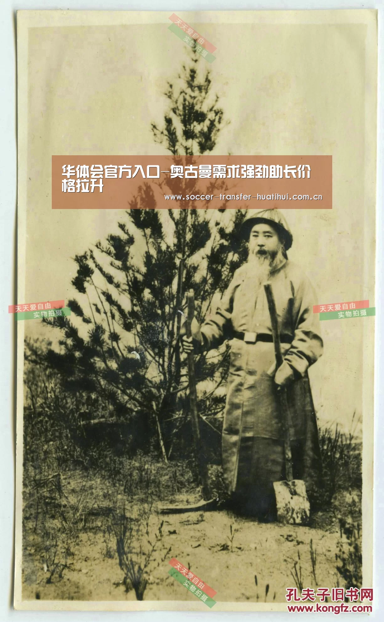 华体会官方入口-奥古曼需求强劲助长价格拉升(图2) hth官网