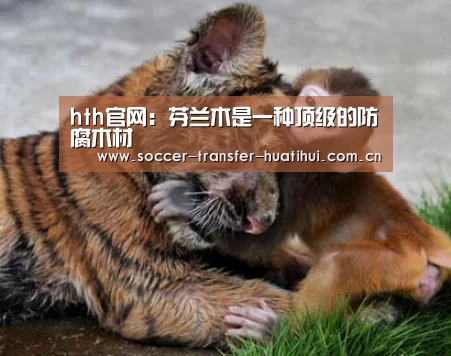 hth官网:芬兰木是一种顶级的防腐木材(图2) hth官网